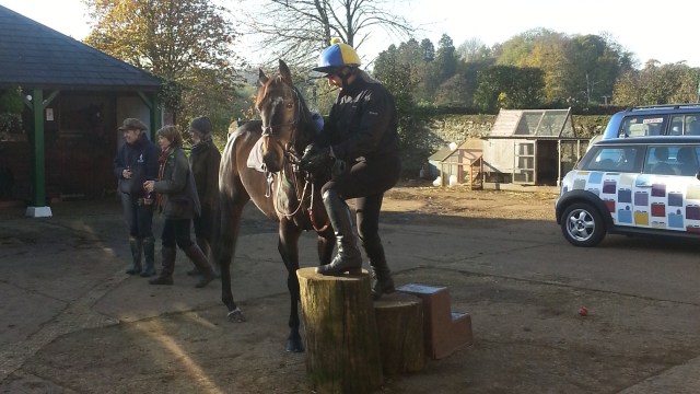 The boss - Pauline Harkin