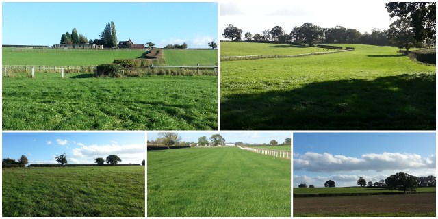 An unusual sight without the people, horses and lorries!