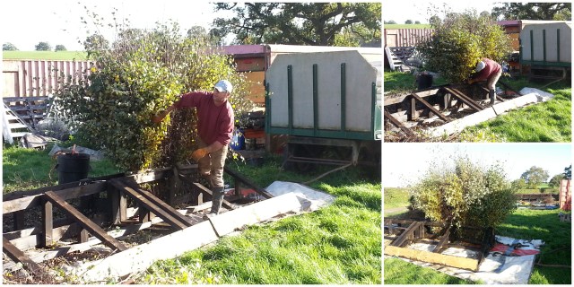 Jim would have preferred some birch with not quite so many leaves!