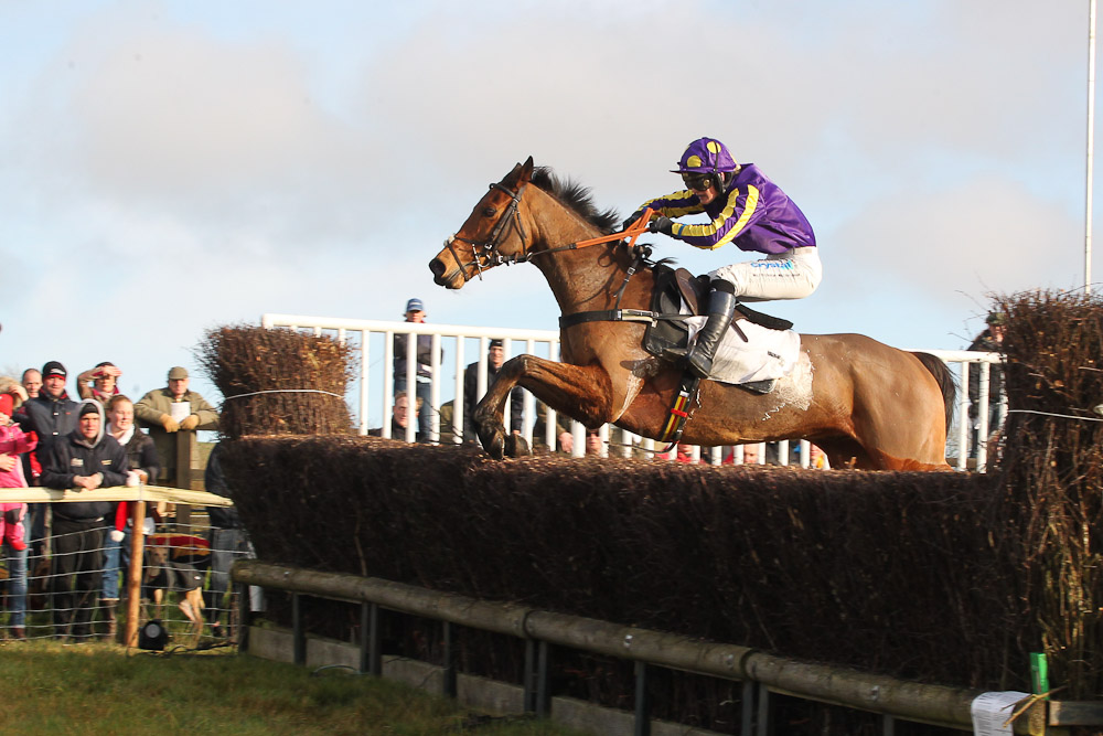 Latest Trend and Bridget Andrews, 20/1 winners of the ladies open
