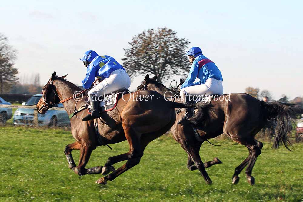 Rossmore Lad & Sagalyrique fight out the finish in the ladies