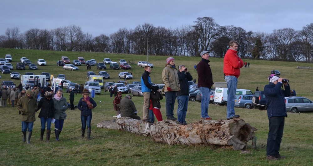 Point-to-Point courses have many vantage points and these racegoers  have bagged a prime spot