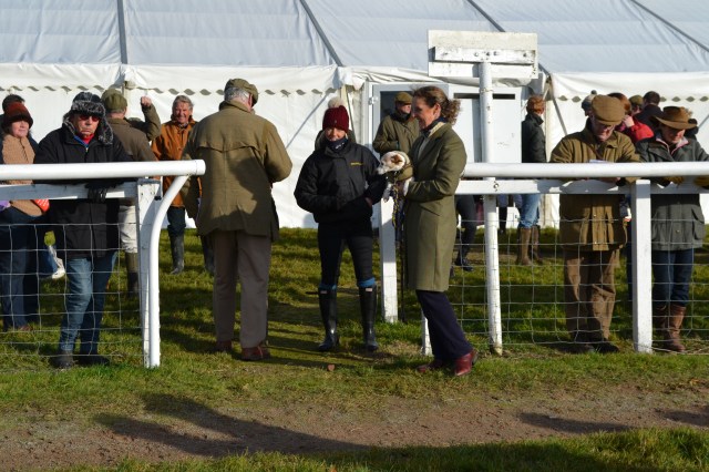 PPA Board Member, Heather Kemp is doing a spot of dog sitting for Laura Horsfall (bobble hat)