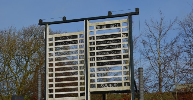 Runners and riders for the Ladies Open