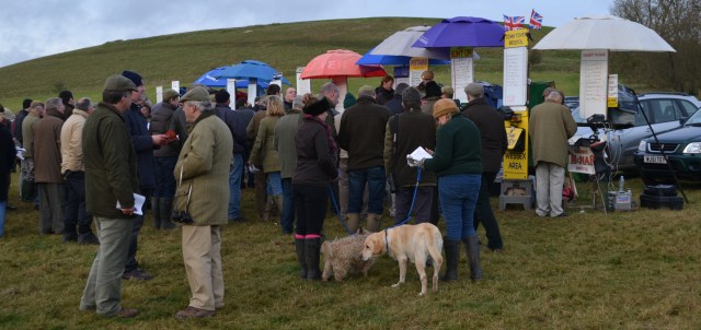 The money piles on Illicit Illusion ahead of the PPORA Club Members Maiden 4&5yo race