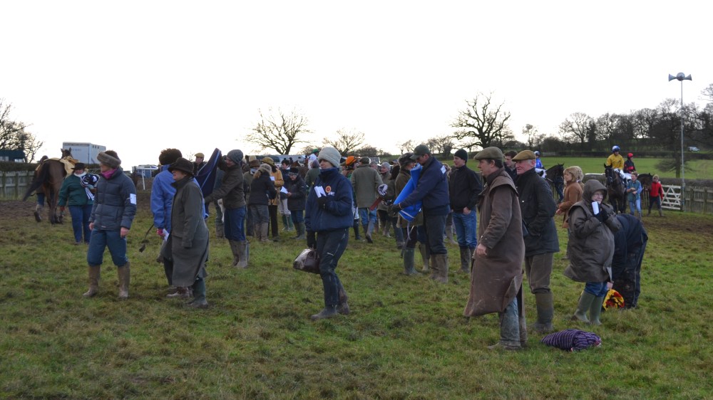 The vet keeps an eye on things in the paddock