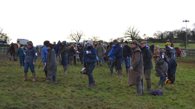 The vet keeps an eye on things in the paddock
