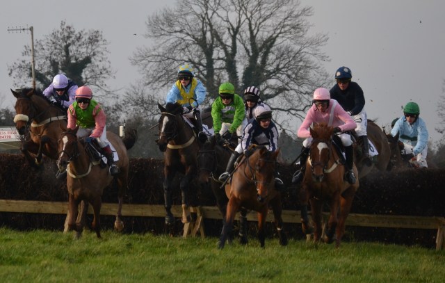 Amicelli and Mister Spodge (pink) battle it out at the head of affairs