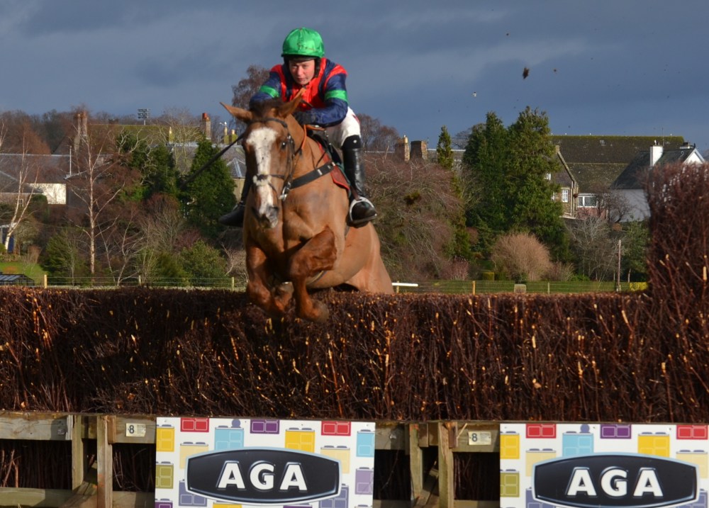 Catherine Walton jumps the last on Ockey De Neulliac in the AGA ladies open race