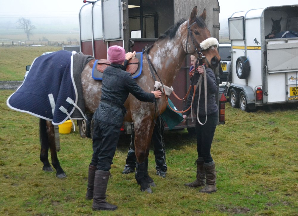 Ashtonmore is tacked up before the first race