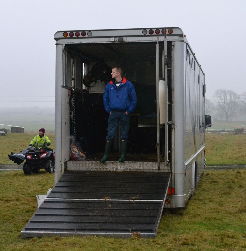 Contemplating the day ahead, and maybe a little reluctant to leave the shelter of the lorry?