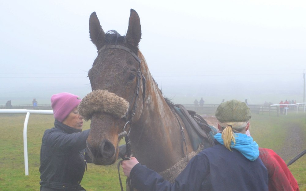 A very muddy Ashtonmore after finishing 4th in the first race