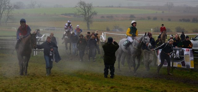 The Falklander (number 17) has just won the Mens Open at 16/1