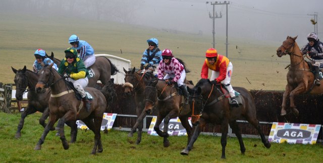 Sea Scout leads the field on the first circuit of the AGA ladies open
