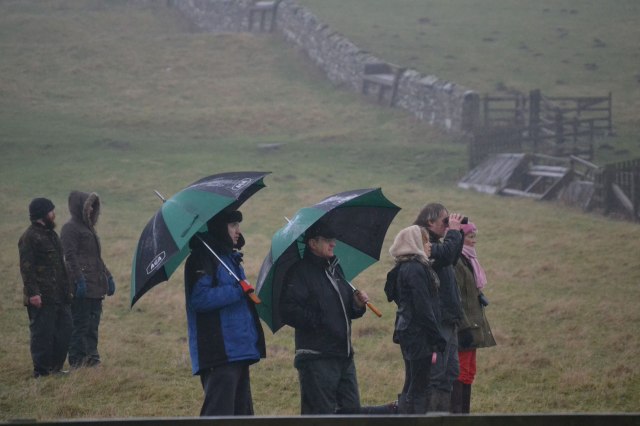 Our friends from AGA distributor Lillie of Selkirk (Grant & Ron) watch the racing