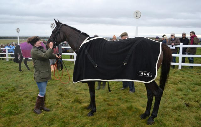 Gemma Groves and Gwanako, who is modelling the new AGA fleece cooler rug