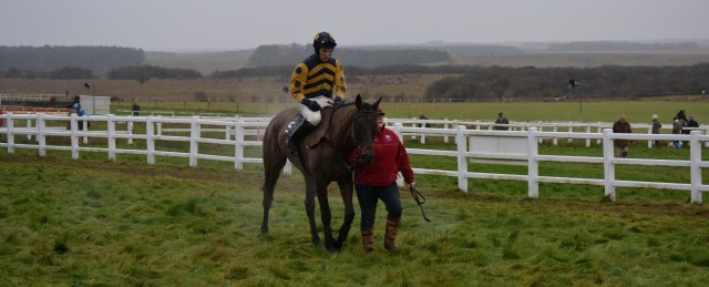 Go On Henry (Josh Guerriero)