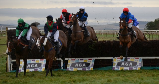 L-R Boomtown Kat, Vincitore, Gwanako (red cap), Parstara, Quedillac (red cap) and On Borrowed Wings (obscured)