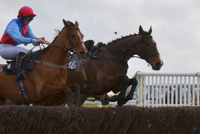 Aikideau-with-riderless-Stonemaster-upsides_WEB