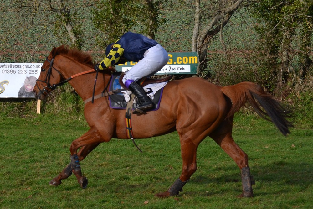 ... with Leanda driving him  out to win by 8 lengths