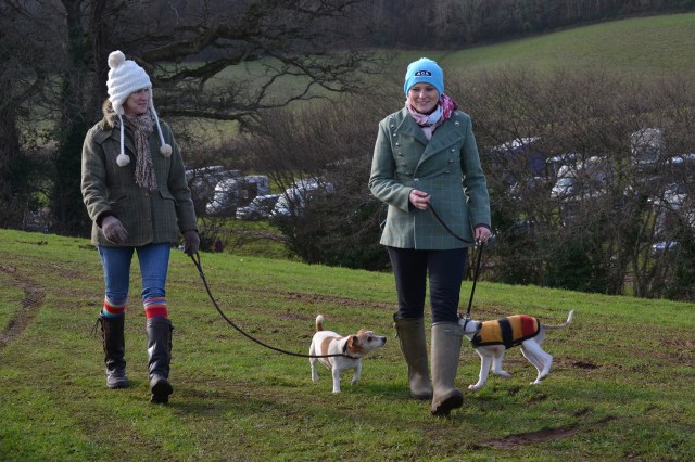 A pre-race dog walk