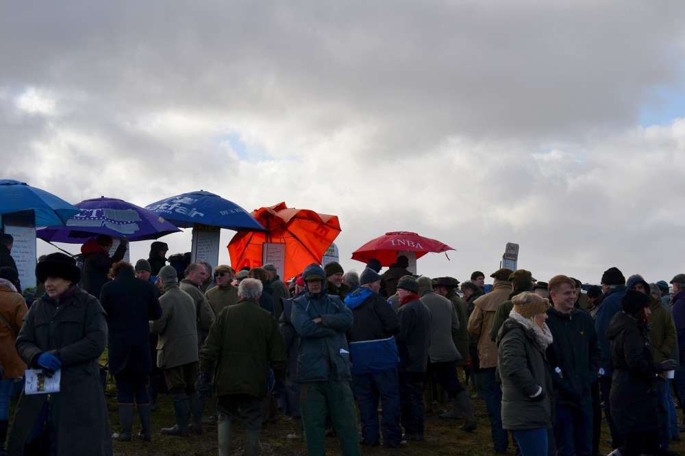 Storm clouds gathering again