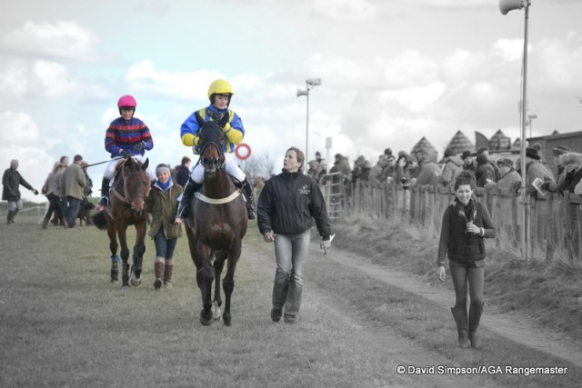 Pollen Jock (Gina Andrews) was pulled up, leaving two finishers, See You Jack (Bridget Andrews) and the winner Little Legend Legend (Cynthia Haydon)