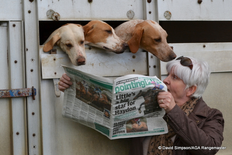 The hounds have a browse through Pointing Plus with Mrs S
