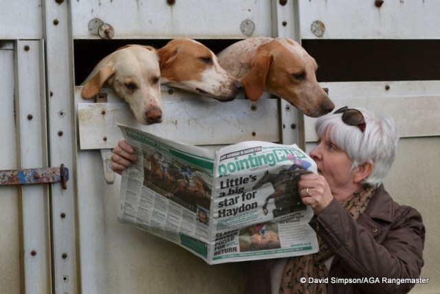 The hounds have a browse through Pointing Plus with Mrs S