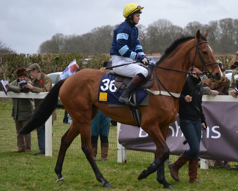 The claasy What A Friend, winner of over £300k under rules and 4th in the 2011 Cheltenham Gold Cup