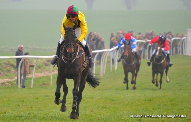 Botany Cove strolls home in the Restricted