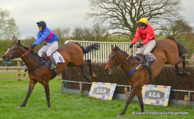 Horsham Lad (far side) lands just in front of Ravethebrave as they jump the last