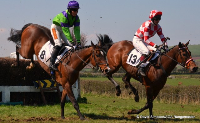 Eventual winner, Pathian Prince (light green) and Watch The Birdie