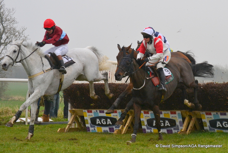 The dashing grey Sotovik leads eventual winner Maxwil with a circuit to go