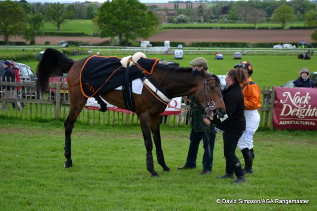 Palypso was lively in the paddock