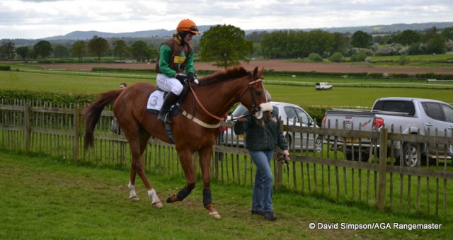 Oaksi looked a picture,although the three runners looked a bit lost in the large Chaddesley paddock!