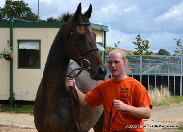 Exclusive Rights (Scruffy) and Toby