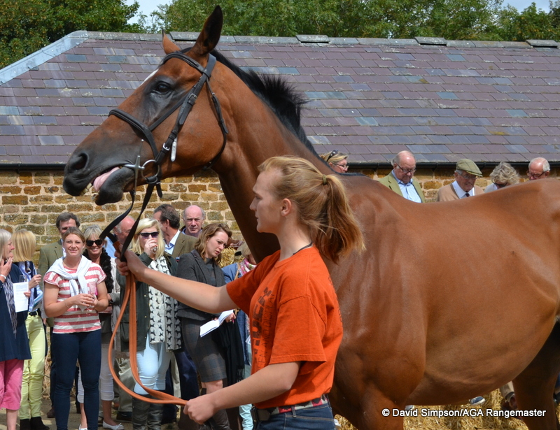 Out Of Range (Harry)