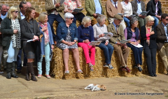 Mrs S has a front row seat!