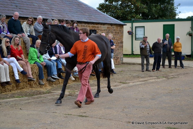 Velvet Shadow (Doris)