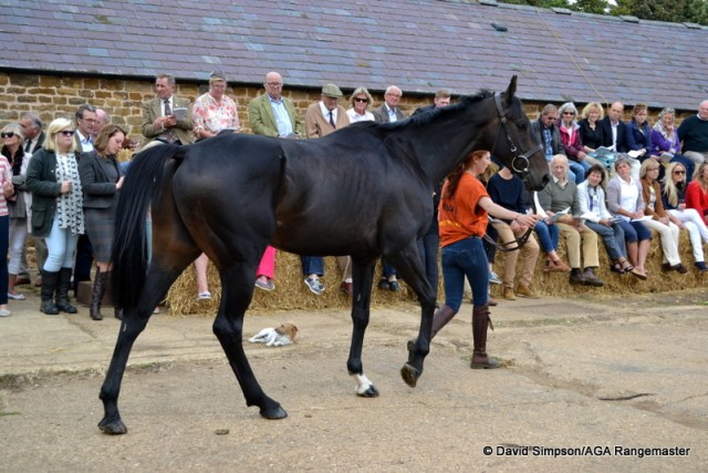 Don't Budge Me and Esme Victoria