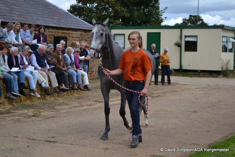 This one could be special