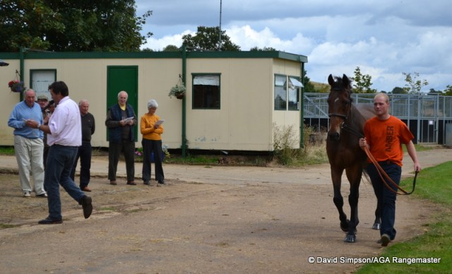 Toby leads up Popaway while Doug heads over to Roy Hartop, microphone in hand! 