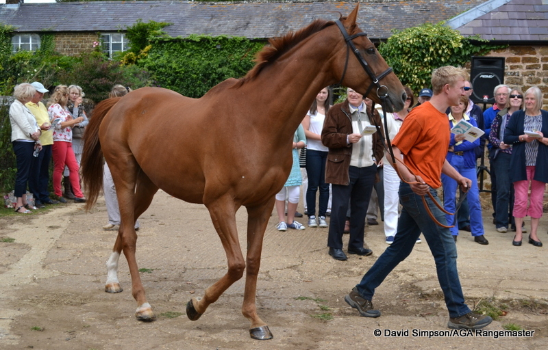 Doctor Kingsley and his regualr pilot, Pete Mann