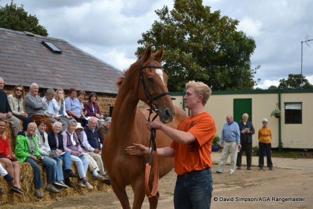Doctor Kingsley (Jake)