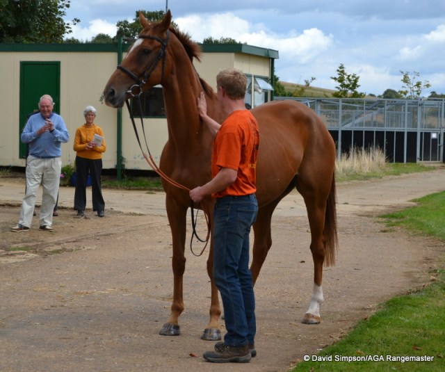 Doctor Kingsley is enjoying being the centre of attention