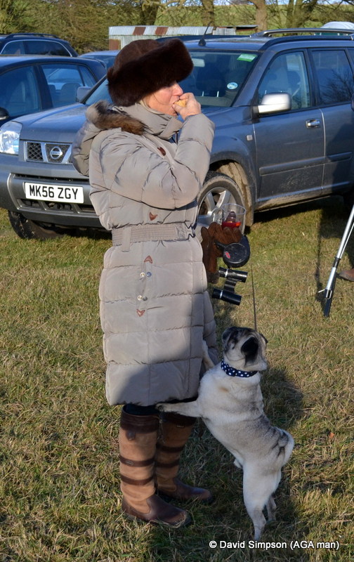 Arnie (the original AGA point-to-point dog), really wants to try a Mincemeat Muffin - as featured in the first ever 'Picnic Pointers', which debuted in Go Pointing