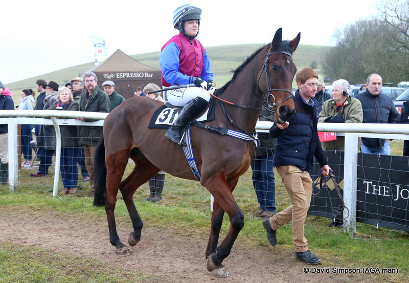 This fella was strutting around the paddock like he owned the place!
