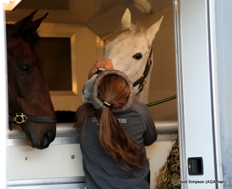 A great big hug and lots of kisses for Marblehead!