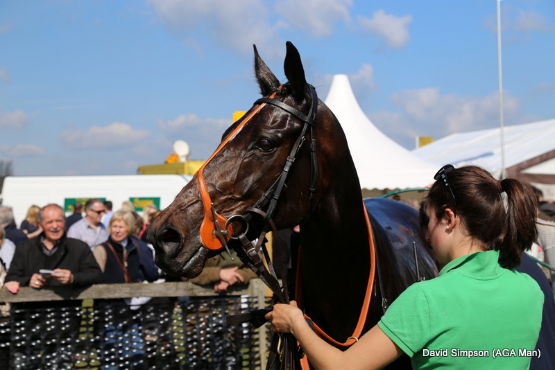 Jetnova, a star for the Smith-Maxwell family this season